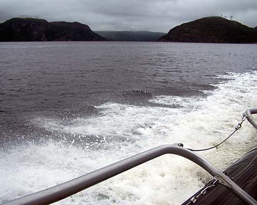 zodiac ride in the Fjor Daguenay beside the St Lawrence River