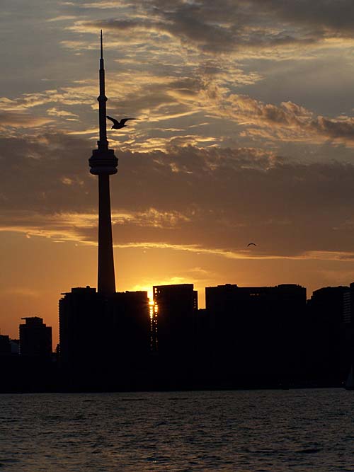 CN tower in Toronto during sunset.