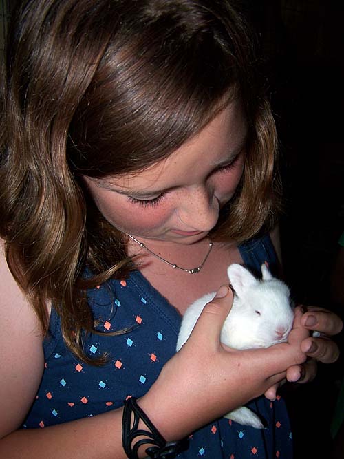 Erin holds a cute little baby bunny rabbit