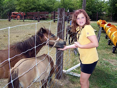 Clovermead Bees and Honey. Erin feeds the tiny horses