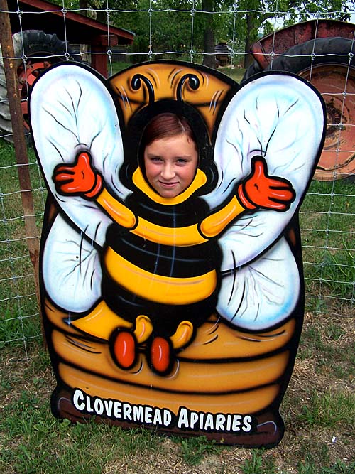 Clovermead Bees and Honey. Erin in a picture board as a bumble bee