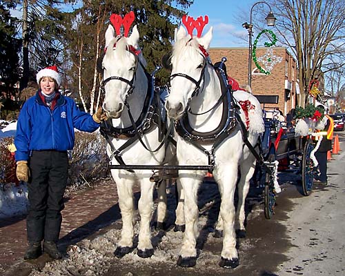 Horse drawn carriage with Santa Claus in Acton, Ontario