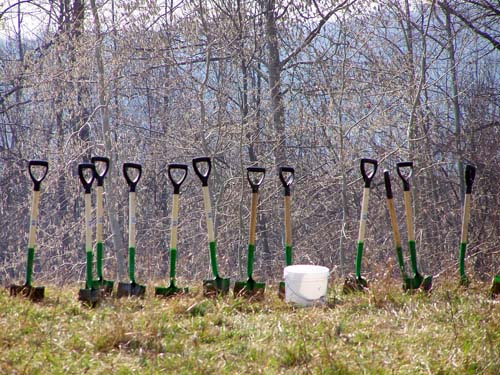 spades or shovels line the Acton Quarry ready for use in tree planting during the 2008 Earth Week Celebrations