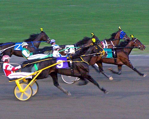 Harness racing at Mohawk Race Track, Ontario