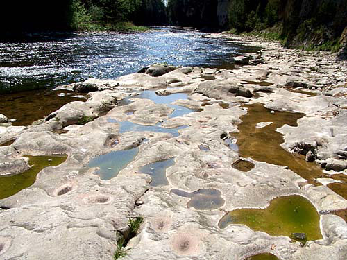 The Grand River in the Elora Gorge, Ontario