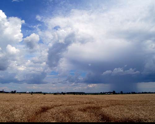 A isolated rain cell during a thunderstorm over Mississauga