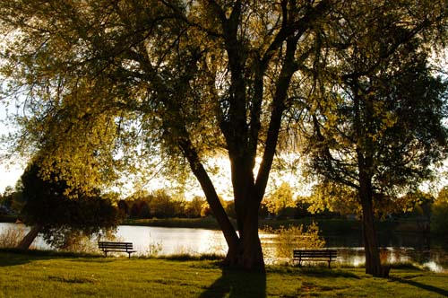 Fairy Lake, Prospect Park, Acton, Ontario