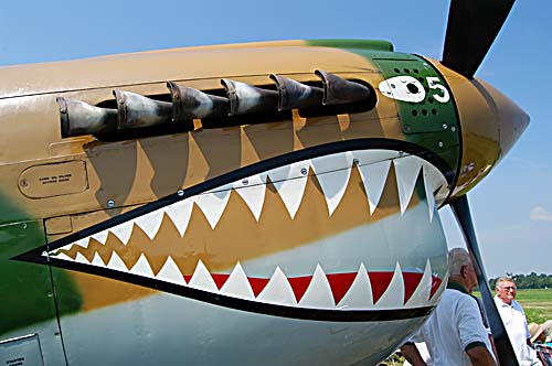 2008 Geneseo Airshow - P40 flying tiger teeth on the cowling