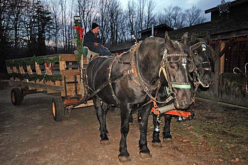 Mountsberg Conservation Area - 2007 Christmas Town. The horse drawn wagon used to bring us to the temporary north pole