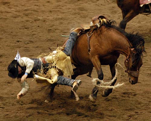 2008 Ontario Dodge Rodeo tour, Mississauga's Hershey Centre - cowboy gets thrown from his bronco