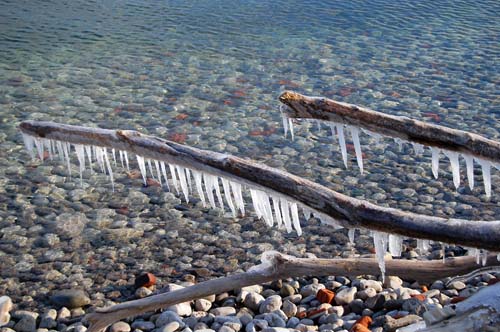 ice coats driftwood along the Lake Ontario shoreline in Toronto