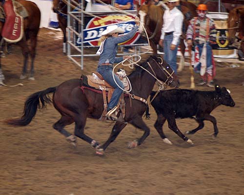 2008 Ontario Dodge Rodeo tour, Mississauga's Hershey Centre - calf roping