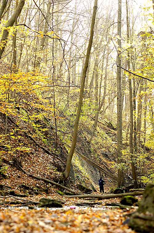 Louth Falls, exploring the waterfalls during autumn