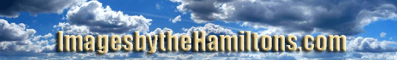 Title block (clouds) for Imagesbythehamiltons.com website
